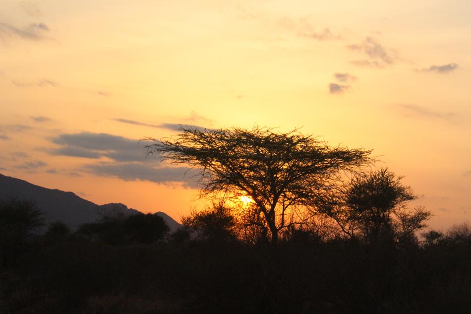 Sunset Natural