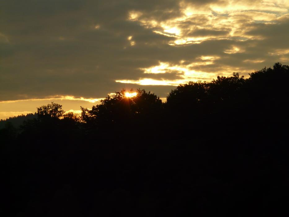 silhouette of trees in the clouds sun