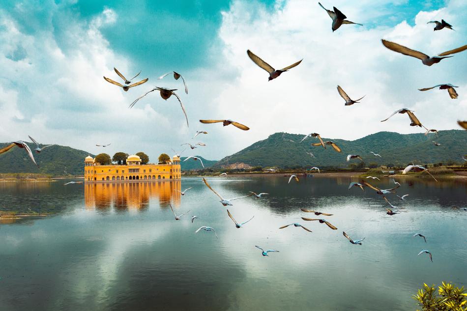 a beautiful castle with sea and birds