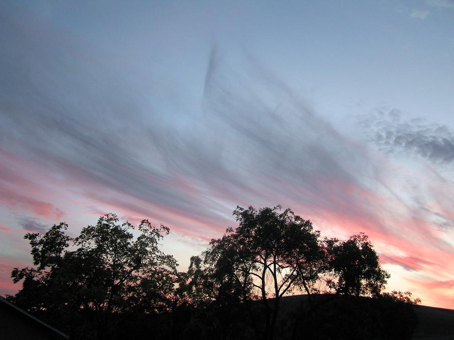 Sunset Trees Sky
