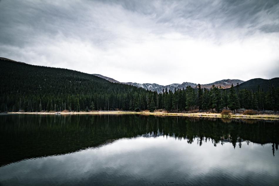 The lake in the woods is beautiful