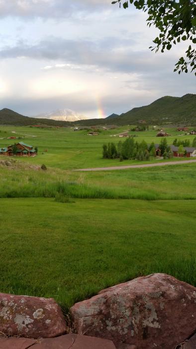 green meadow a magnificent landscape