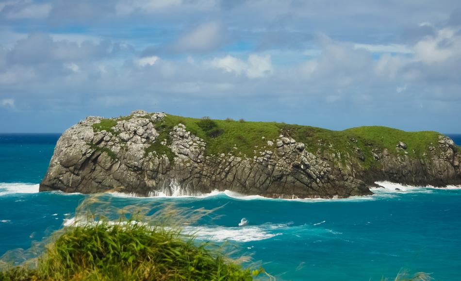 green trees with the ocean and mountains