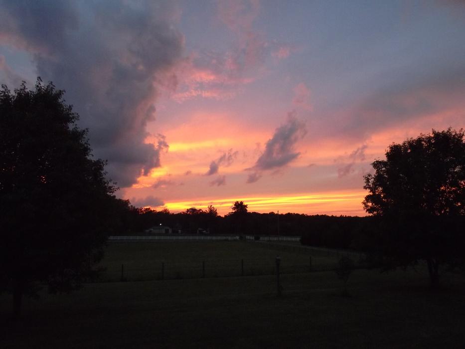 evening landscape in the field
