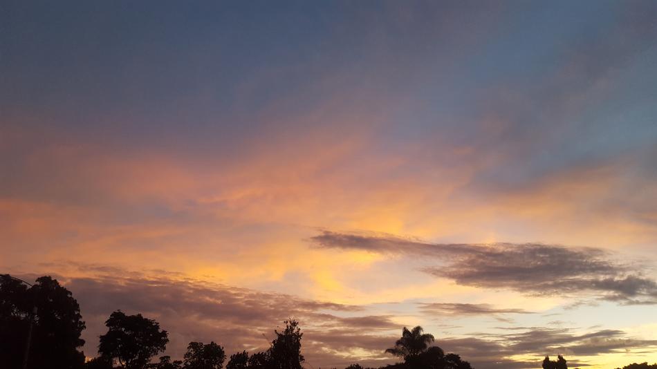 sunset sun trees silhouette