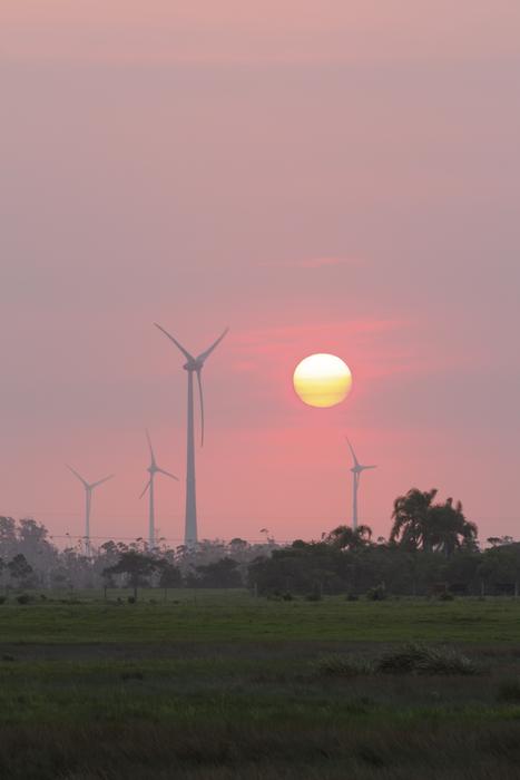 Sunset Wind Towers pink sun over the grass
