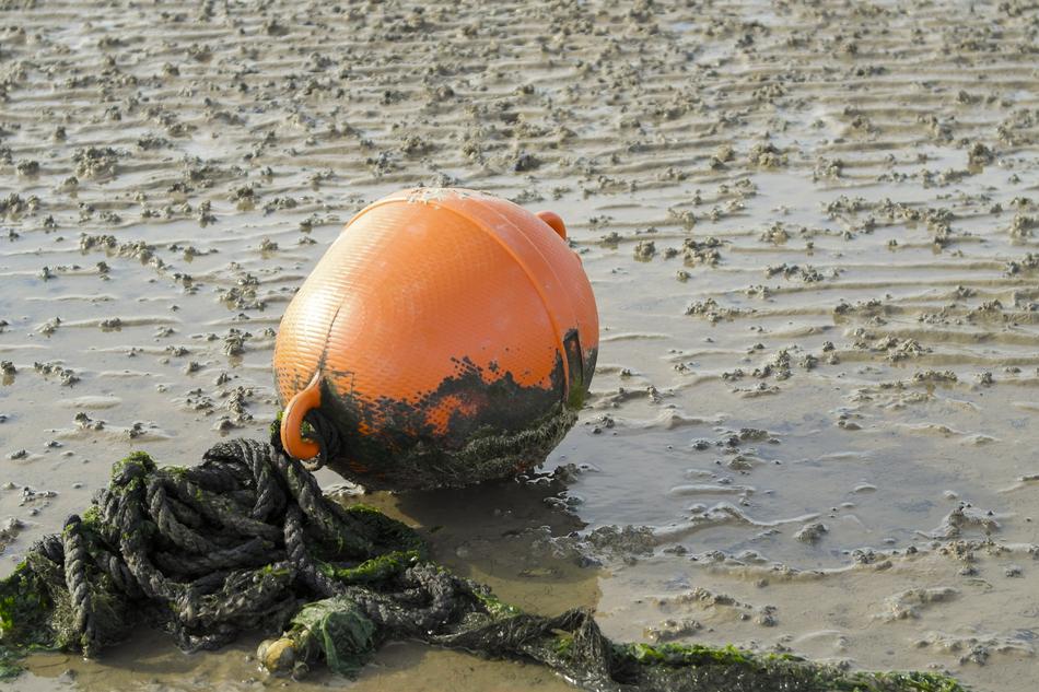 balloon orange rope swamp