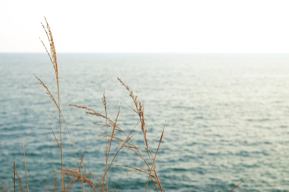 Sea Ocean Blue