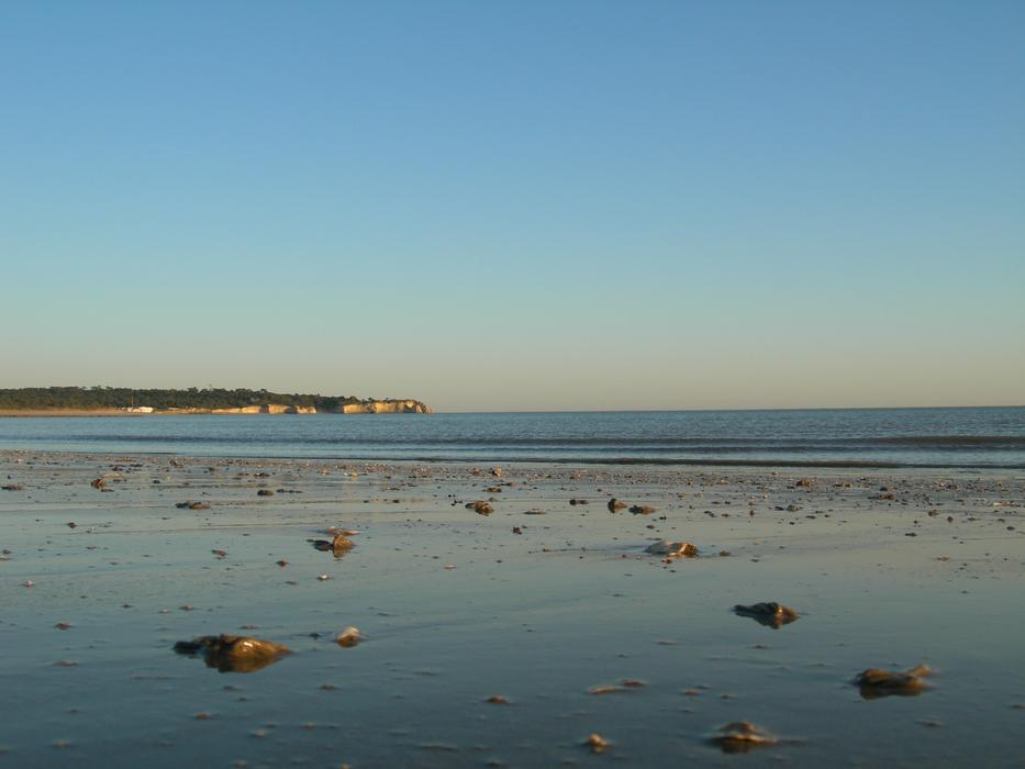beach with rocks and sea