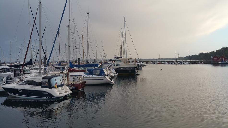 many yachts at sea