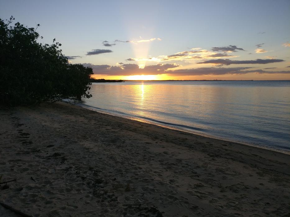 wood lake beautiful beach
