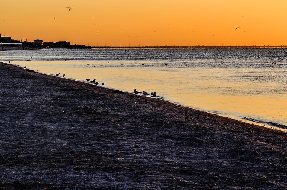 sunset beach sea landscape