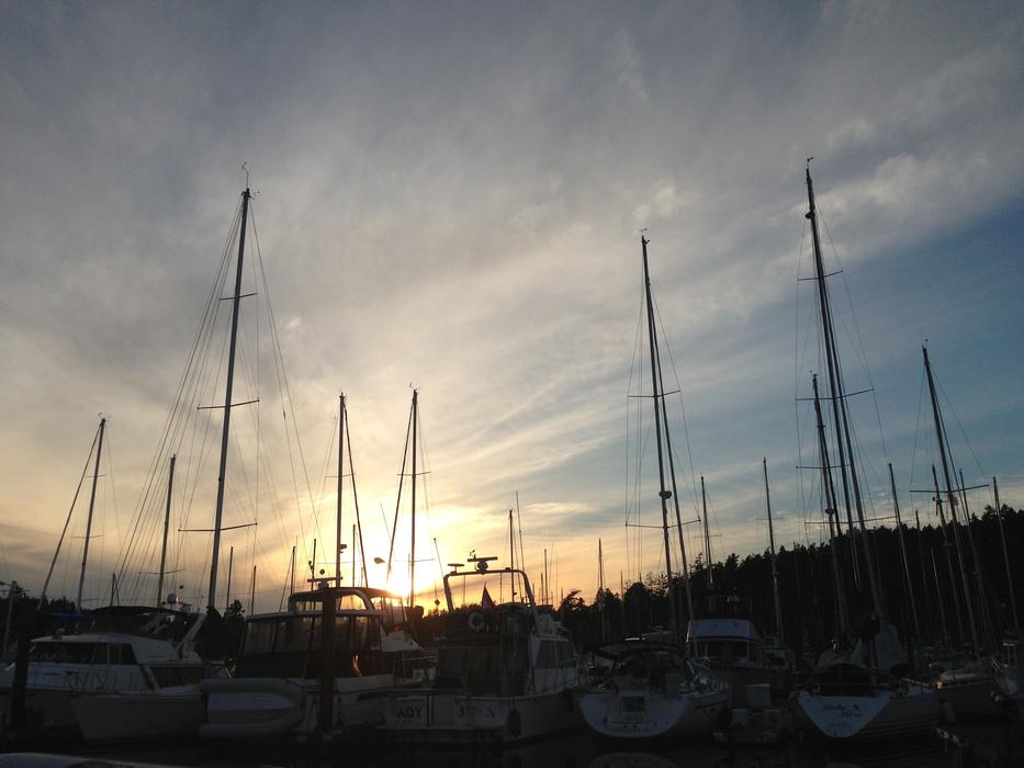 the long towers of yachts at the pier.