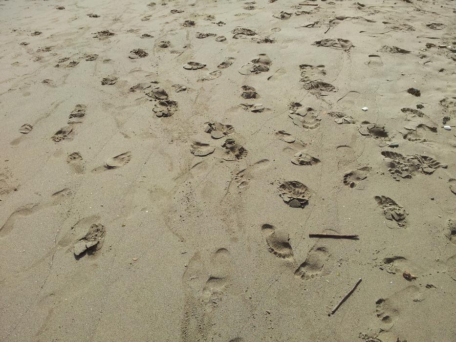 Beach Foot Walk