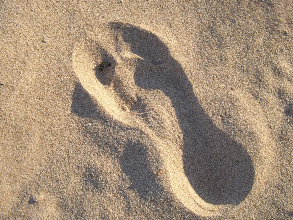 footprint on the beach