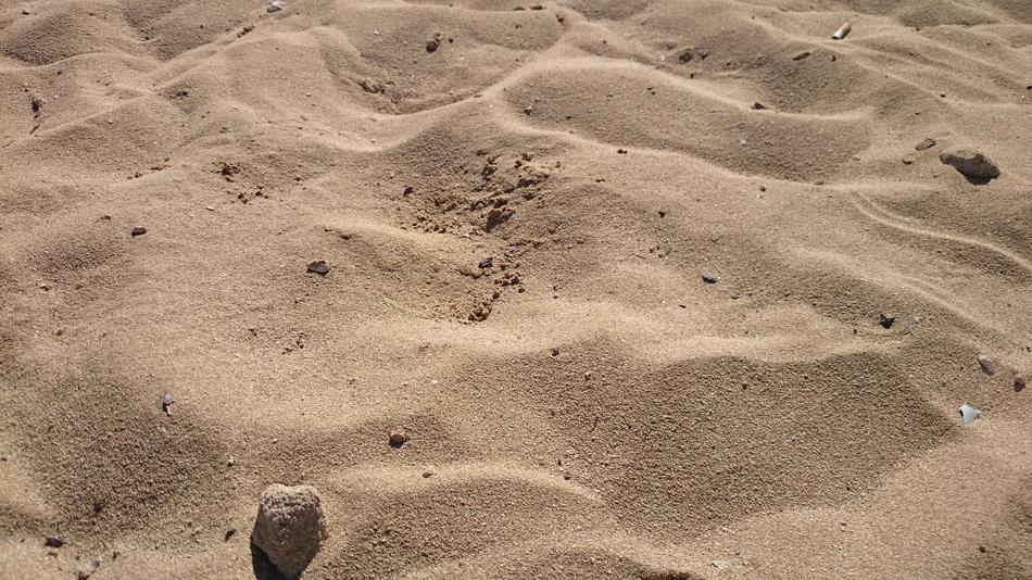 Hot beach sand free image download