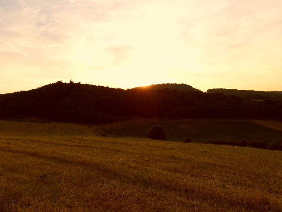 field with an orange sun
