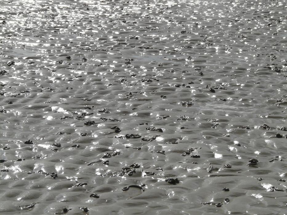 shimmering sea surface