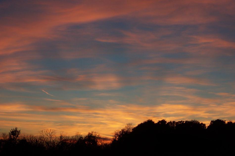 orange clouds with a silhouette of trees