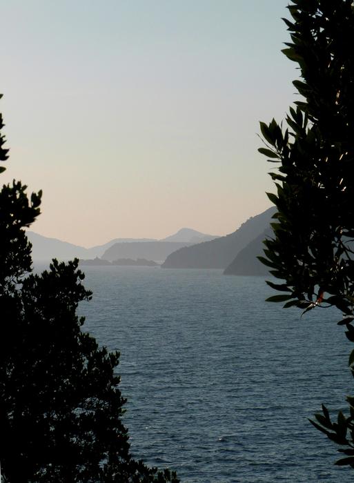 lake in the trees view