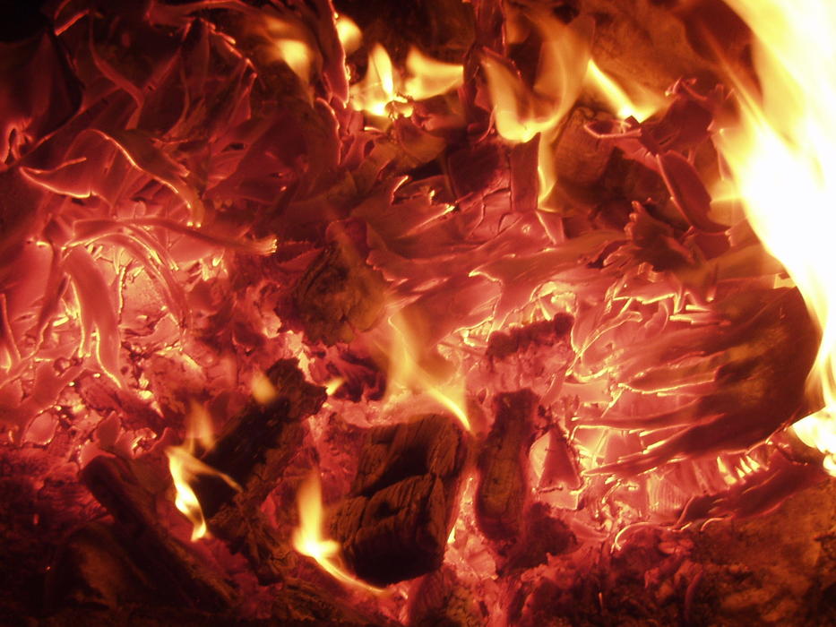Flame Barbecue