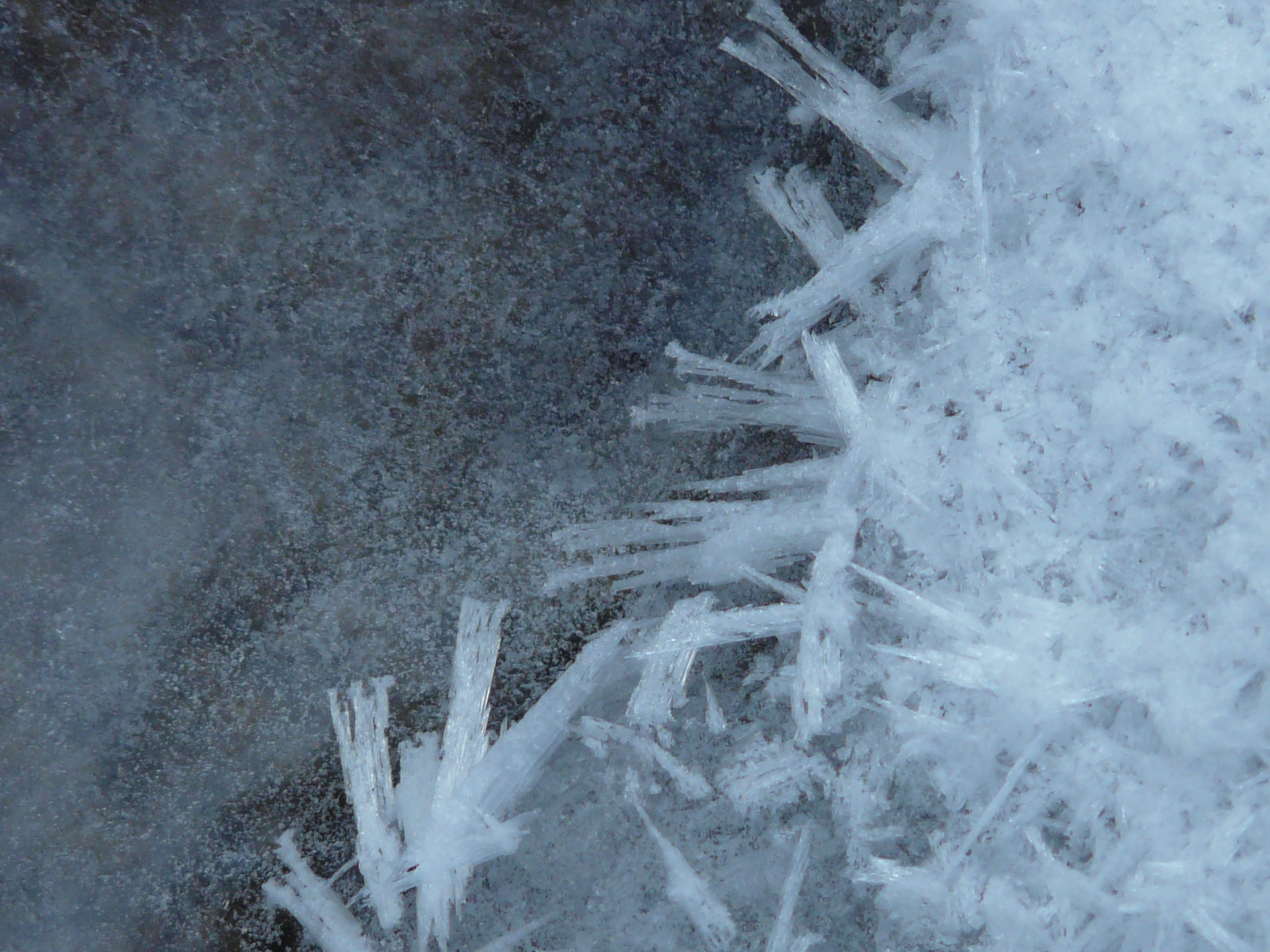 Macro photo of ice crystals free image download