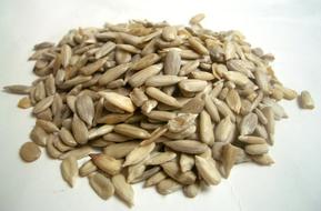 peeled sunflower seeds on a white table