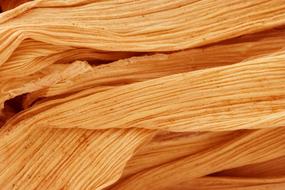 dry Corn leaves, Macro