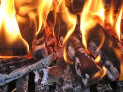 Beautiful yellow and orange fire with wood
