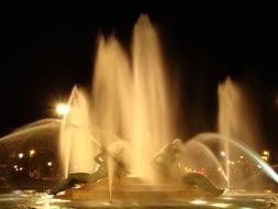 goodly Swann Memorial Fountain