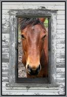 absolutely beautiful Horse Barn
