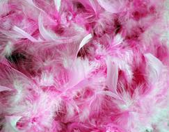 Pink and white Feathers, background