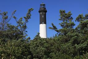 white black Lighthouse Tower and trees