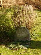 Grave Tombstone