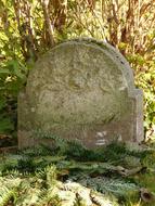 Tombstone Stone
