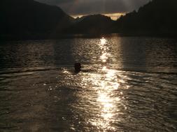 Lake Swim Dark person