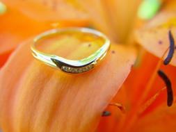 Wedding Ring on petal of orange flower close-up on blurred background