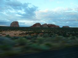 Landscape of the beautiful Nurusse, among the green plants in Arizona, USA