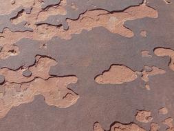 Rock Sand red