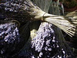 ravishing Lavender Bunch Fragrance