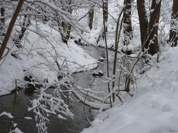 Winter Bach