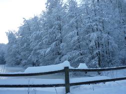 wooden fence along the winter lake