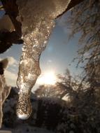 macro photo of icicle against the morning sun