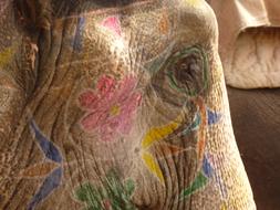 Elephant with Painted Head, detail