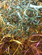 Metal Chips Blue red yellow