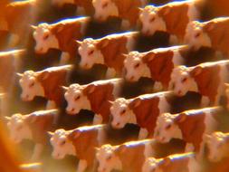 Cows Kaleidoscope drawing