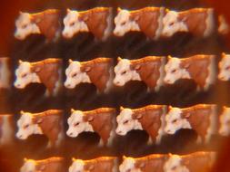 Cows Kaleidoscope art