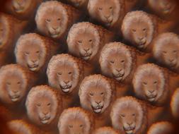 lions as a drawing in a kaleidoscope