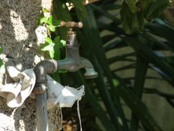 Faucet Still