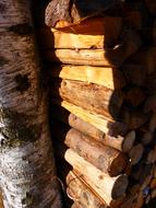 Firewood Log